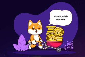 ShibaInu Finance Coin
