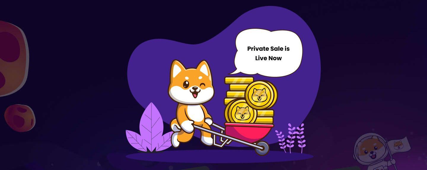ShibaInu Finance Coin