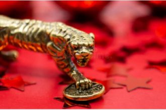 Defi Tiger Coin