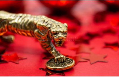Defi Tiger Coin
