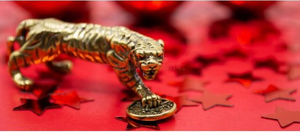Defi Tiger Coin