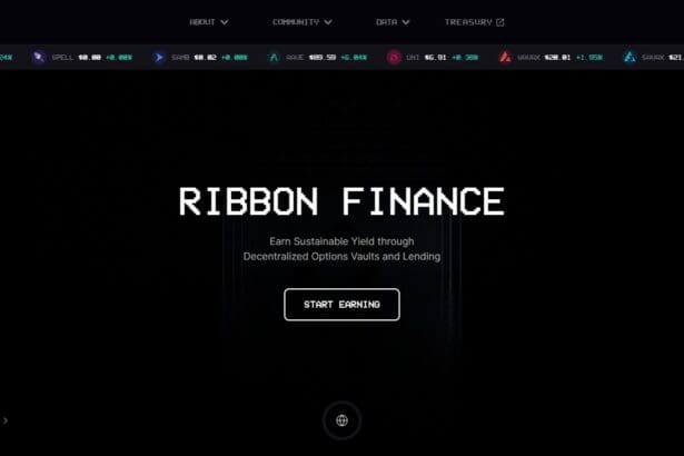 Best Ribbon Finance Wallets of 2023: What to Choose? Pro Or Cons & FAQ