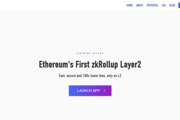 Best Loopring Wallets of 2023: What to Choose? Pro Or Cons & FAQ