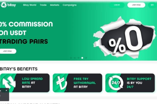 BITAY Coin Alternatives Without Verification