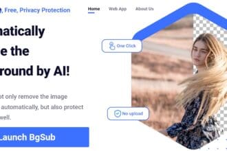 Bgsub Ai Image background Replace Tool Review 2023 : Pro Or Cons How To Use Free Version
