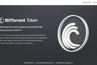 Best BitTorrent Wallets of 2023: What to Choose? Pro Or Cons & FAQ