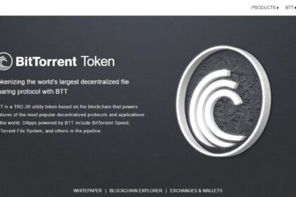Best BitTorrent Wallets of 2023: What to Choose? Pro Or Cons & FAQ