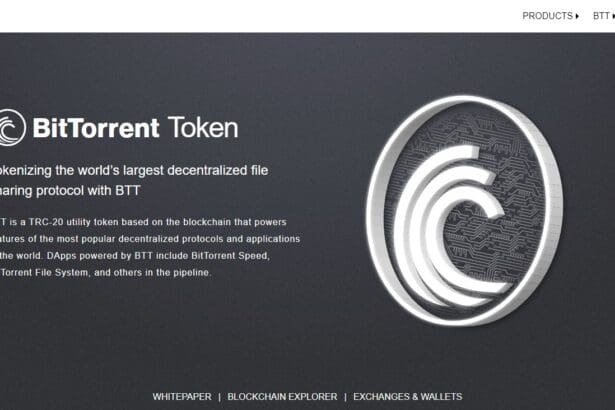 Best BitTorrent Wallets of 2023: What to Choose? Pro Or Cons & FAQ