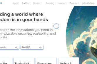 Best Syscoin Wallets of 2023: What to Choose? Pro Or Cons & FAQ