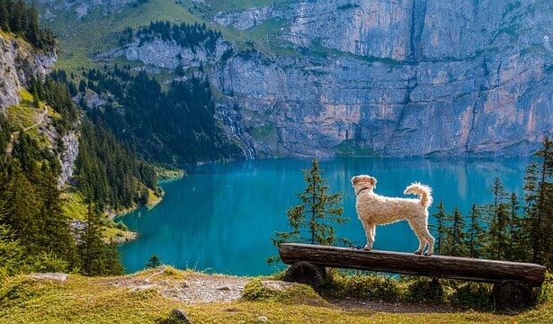 Goldman Sachs Names Bitcoin the Best Asset of 2023