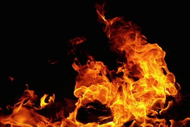 Shiba Inu Burning Rate