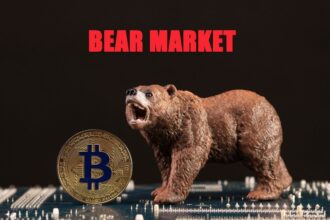 Best Crypto to Buy During the Bear Market