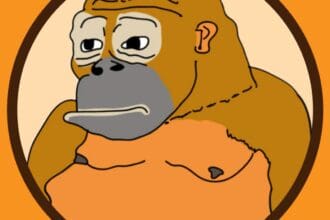 Monke : To Know More About This Crypto Read Our Article