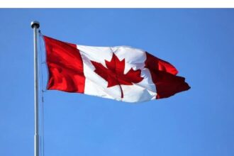 Best Crypto Tax Software Canada