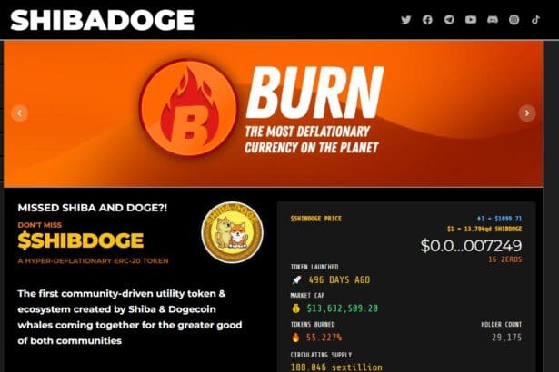 ShibaDoge (SHIBDOGE) Review : Is It Good Or Bad Coin Read Our Article