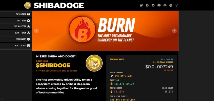 ShibaDoge (SHIBDOGE) Review : Is It Good Or Bad Coin Read Our Article