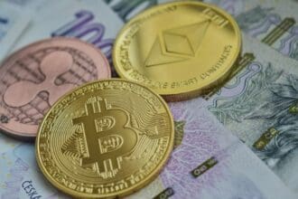 Drachen : To Know More About This Crypto Read Our Article