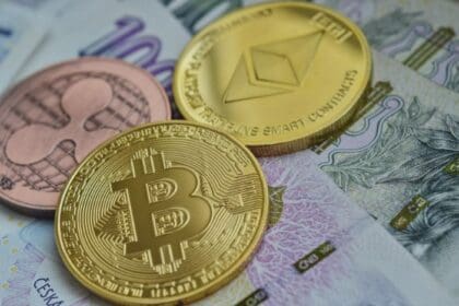 Drachen : To Know More About This Crypto Read Our Article