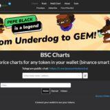 PooCoin (POOCOIN) Review : Is It Good Or Bad Coin Read Our Article