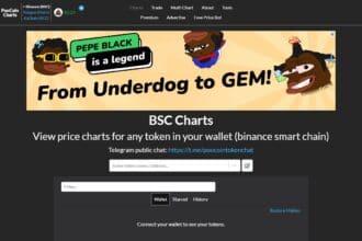 PooCoin (POOCOIN) Review : Is It Good Or Bad Coin Read Our Article