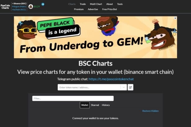 PooCoin (POOCOIN) Review : Is It Good Or Bad Coin Read Our Article