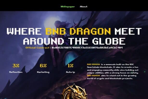BNBDragon: To Know More About This Crypto Read Our Article