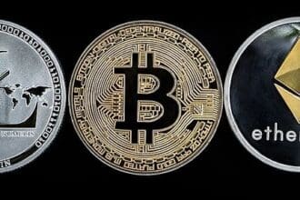 ERMNMUSK: To Know More About This Crypto Read Our Article