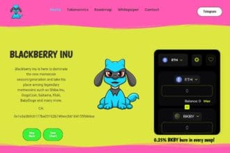 Blackberry Inu: To Know More About This Crypto Read Our Article