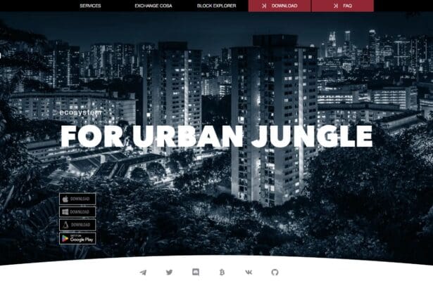 Cosanta: To Know More About This Crypto Read Our Article