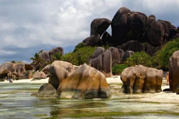 7 Best Crypto Exchange In Seychelles