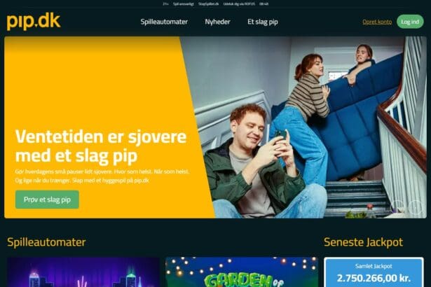 Pip Dk Login : Step By Step Guide 2026 Updated