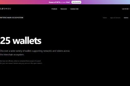 7 Best Cosmos Wallets