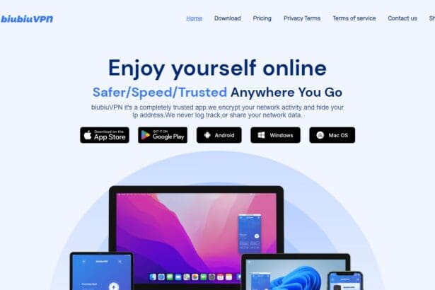 Biubiu VPN Review : Is It Is Good Vpn Or Not ? Read Our Review