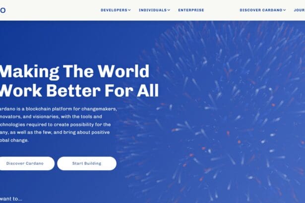 7 Best Cardano DEX