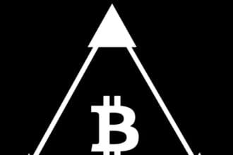 Pixeox: To Know More About This Crypto Read Our Article