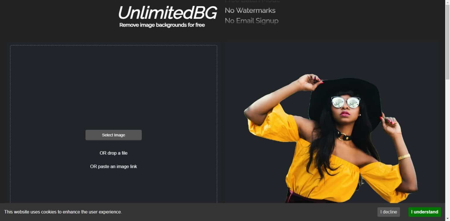 UnlimitedBG Review: How To Use & Free GuideUnlimitedBG