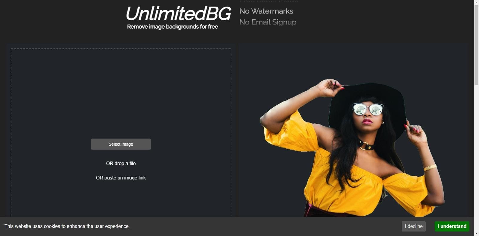 UnlimitedBG Review: How To Use & Free GuideUnlimitedBG