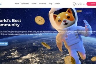 Baby Doge Coin: To Know More About This Crypto Read Our Article