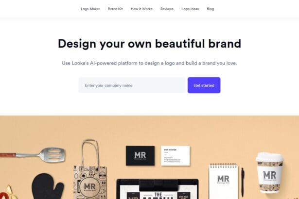 Looka Review: How To Use & Free Guide