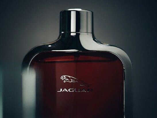 10 Best Perfume For Men