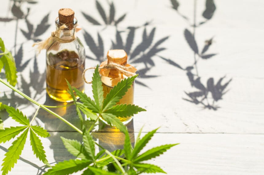 A Guide to the Different Types of Cannabinoids