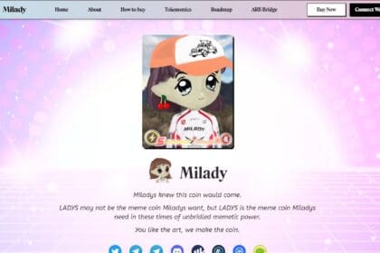 Milady Meme Coin: To Know More About This Crypto Read Our Article
