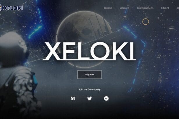 XFLOKI: To Know More About This Crypto Read Our Article