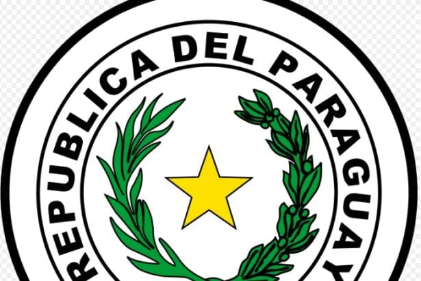 8 Best Forex Brokers In Paraguay In 2026