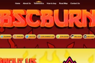 BSCBURN: To Know More About This Crypto Read Our Article