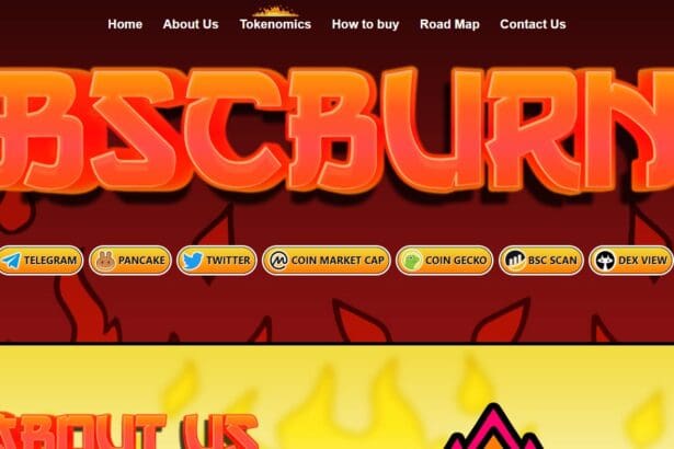 BSCBURN: To Know More About This Crypto Read Our Article