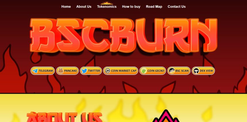 BSCBURN: To Know More About This Crypto Read Our Article