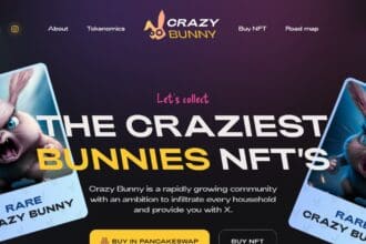 Crazy Bunny: To Know More About This Crypto Read Our Article