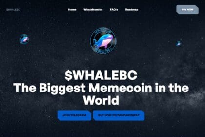 Whale Big Coin: To Know More About This Crypto Read Our Article