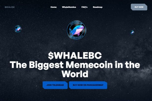 Whale Big Coin: To Know More About This Crypto Read Our Article